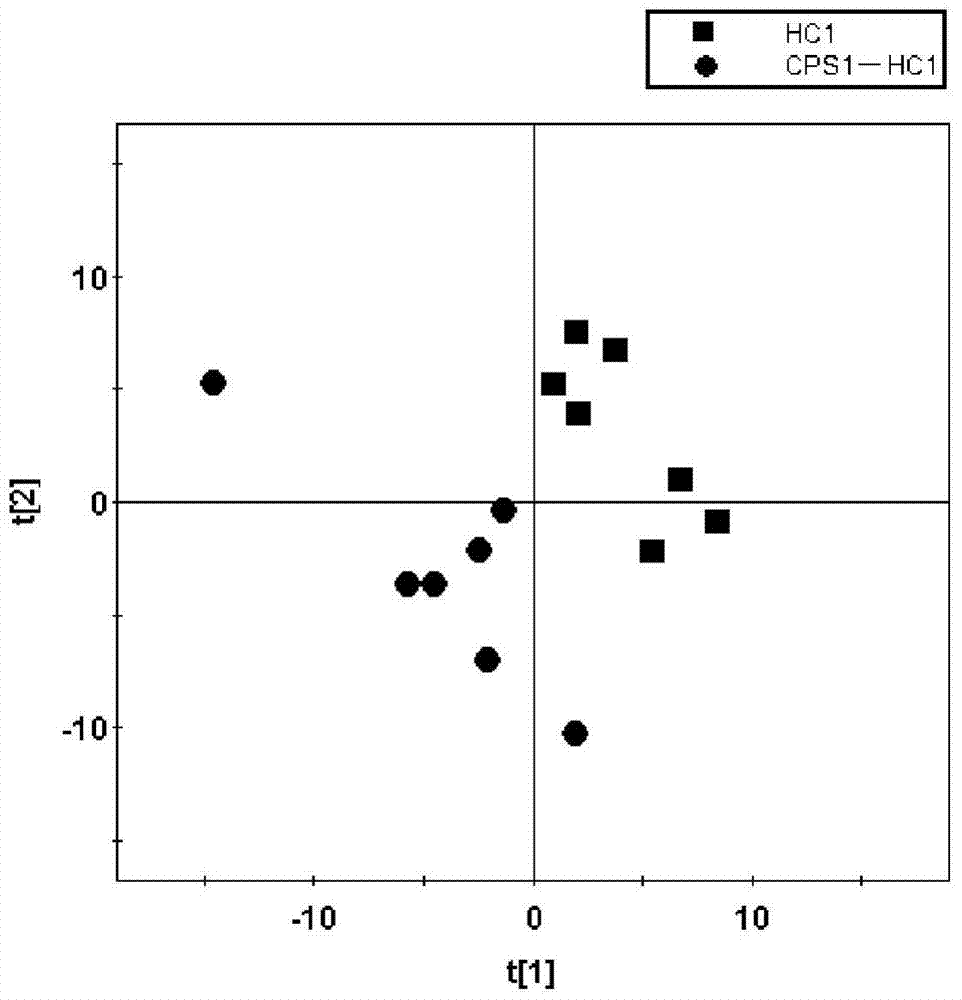 Astragalus polyaccharin and lycium barbarum polysaccharide composition as well as preparation method and application thereof