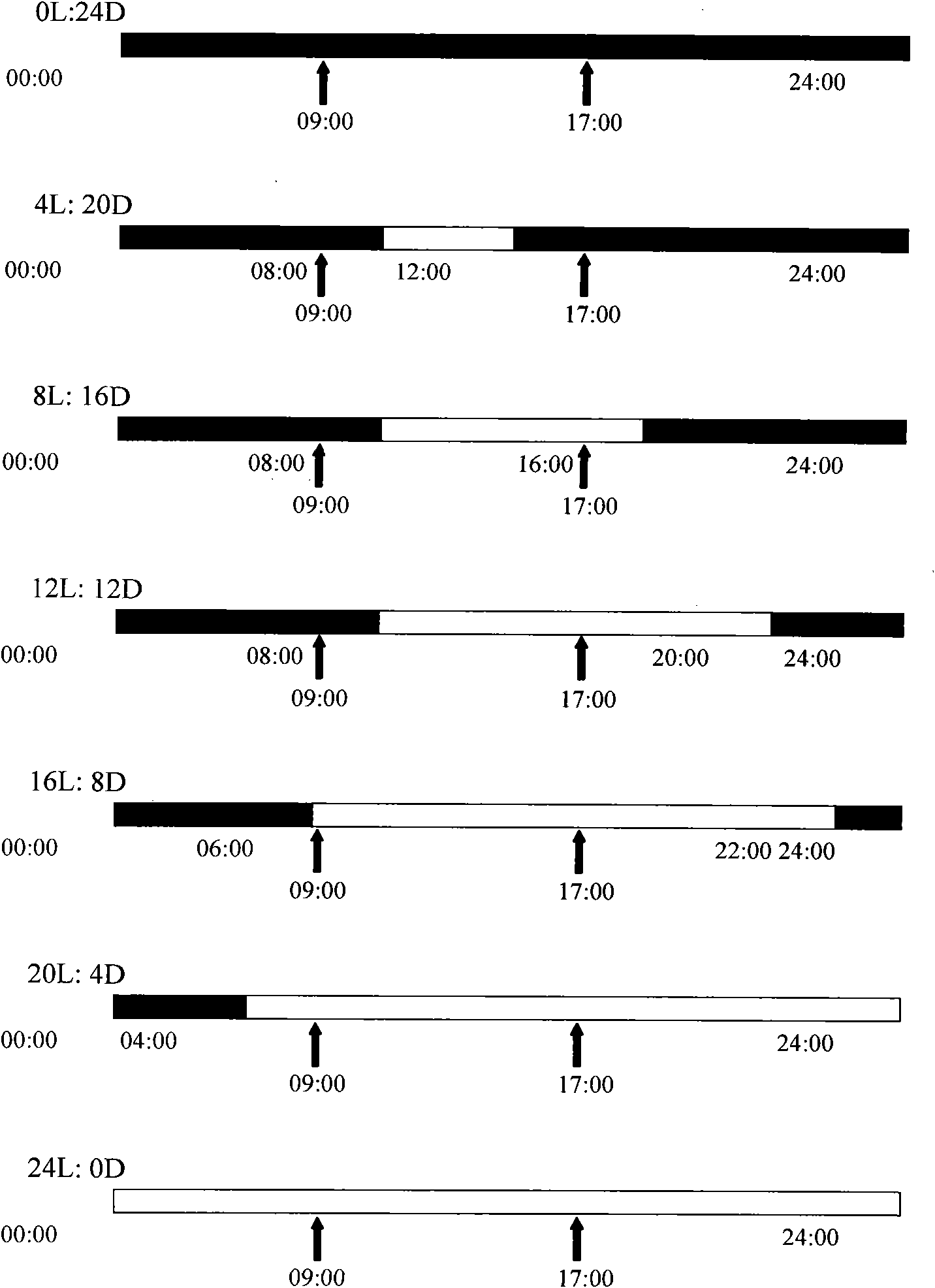 Method for promoting gonad maturing of pseudorasbora parva out of season