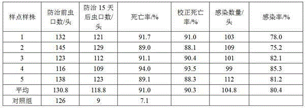 Beauveria bassiana strain having pathogenicity on cyclophragma undans and application thereof