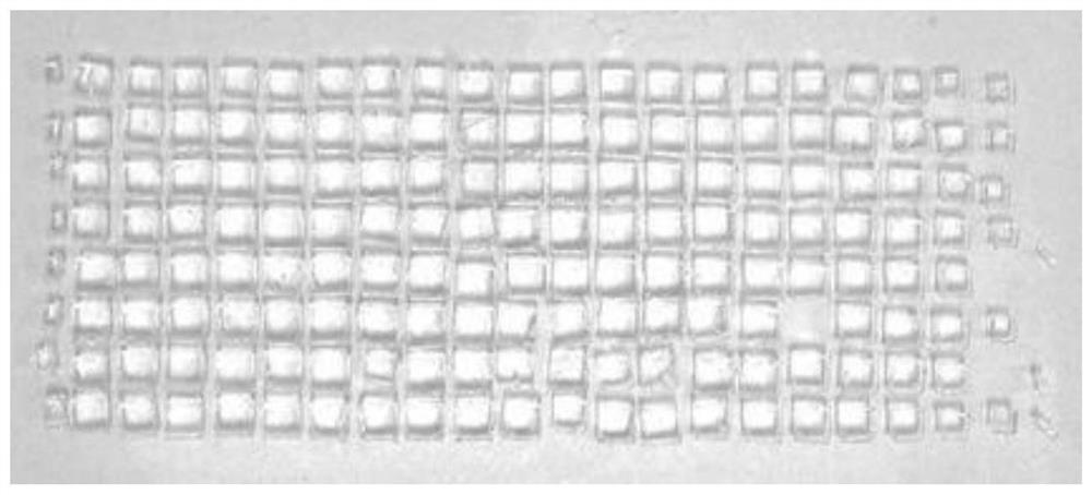 A method for high-throughput screening of bioactive components in complex components by planar chromatography component microarray and its application