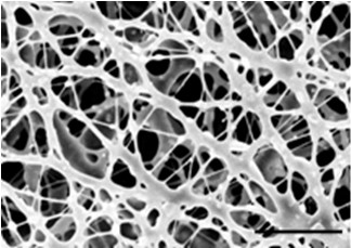 Medical bionic transparent film implanting material, and preparation method and application of material