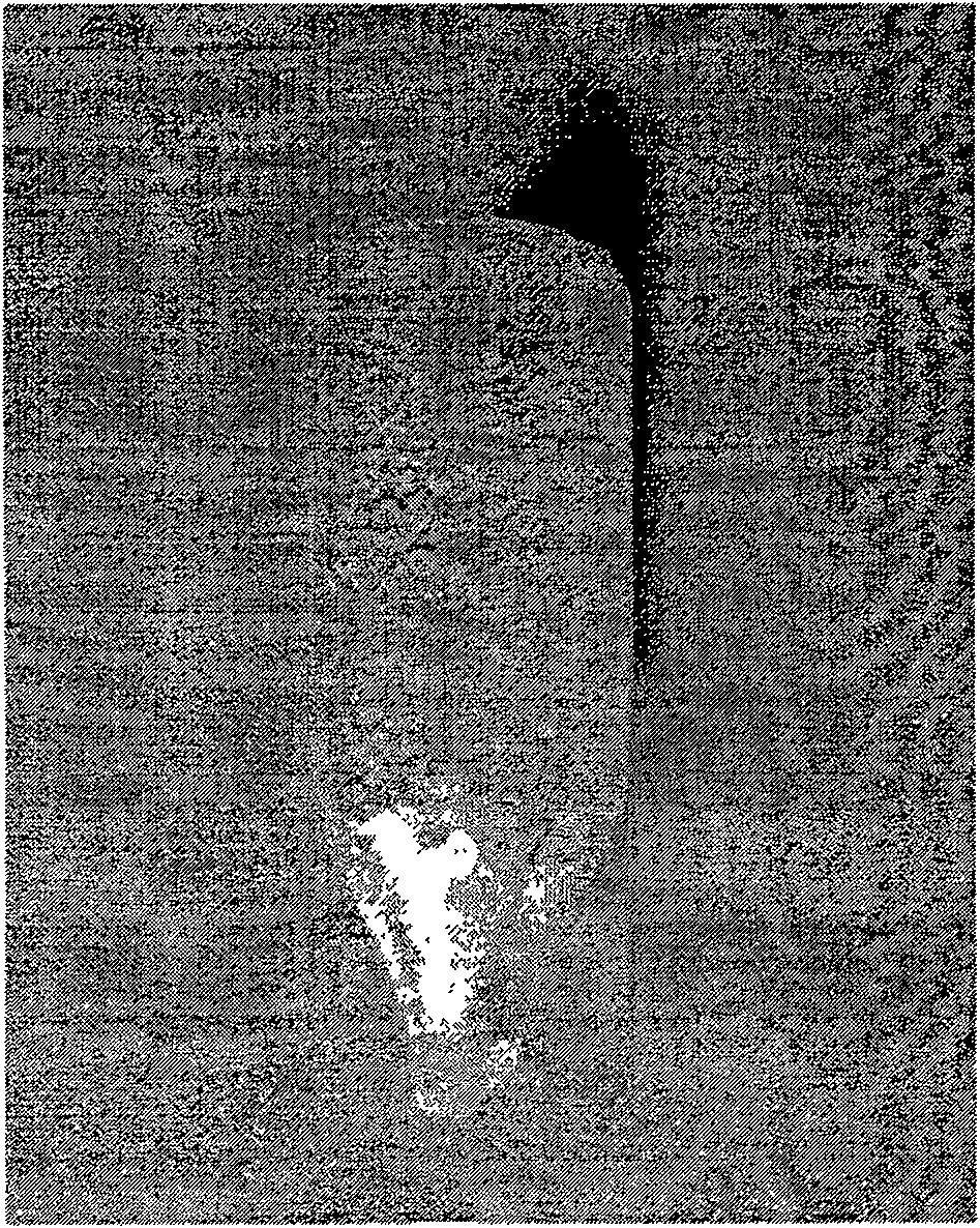 Preparation method for multi-element compounds semiconductor single-crystal and growth device thereof