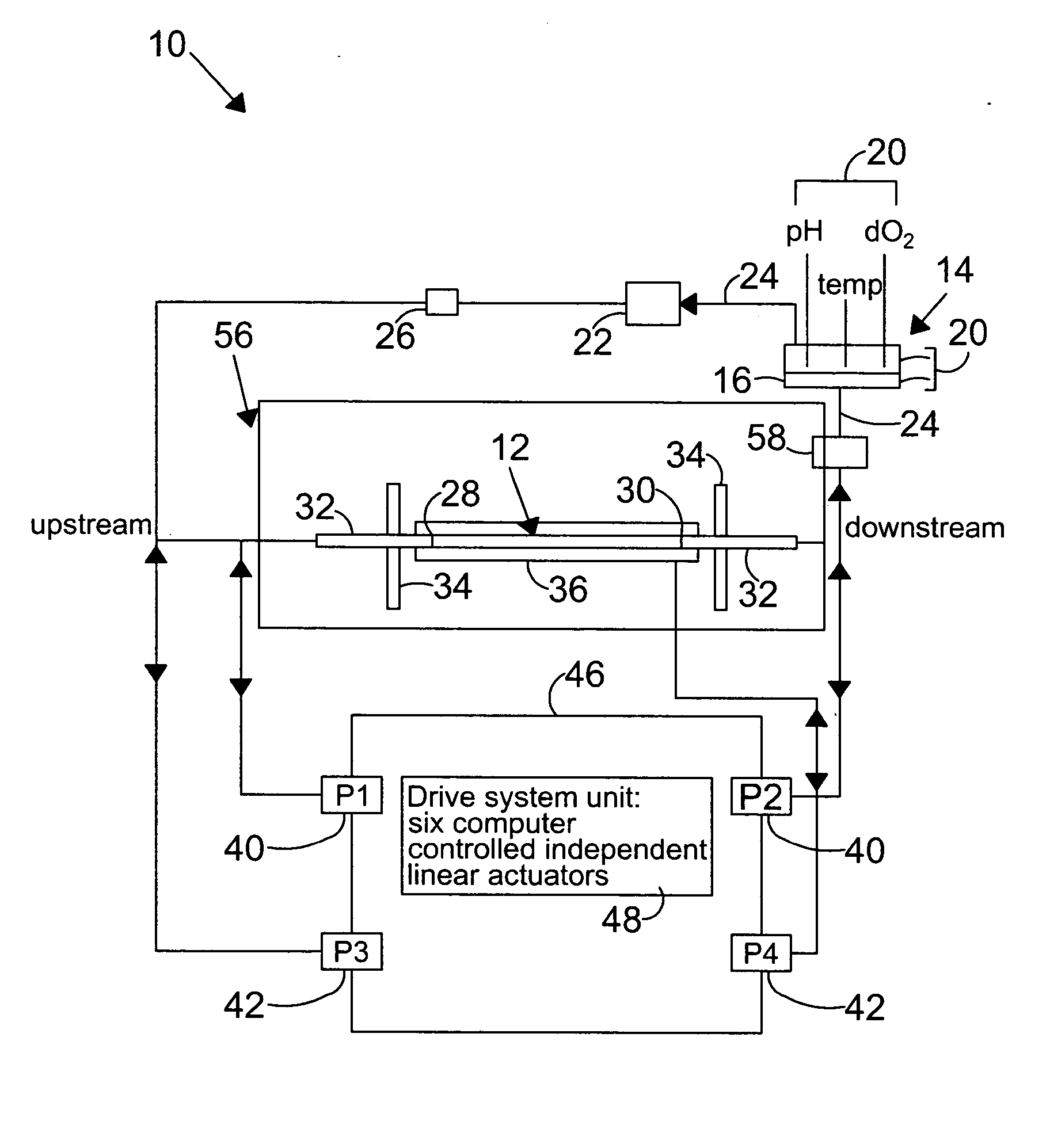 System and method to simulate hemodynamics