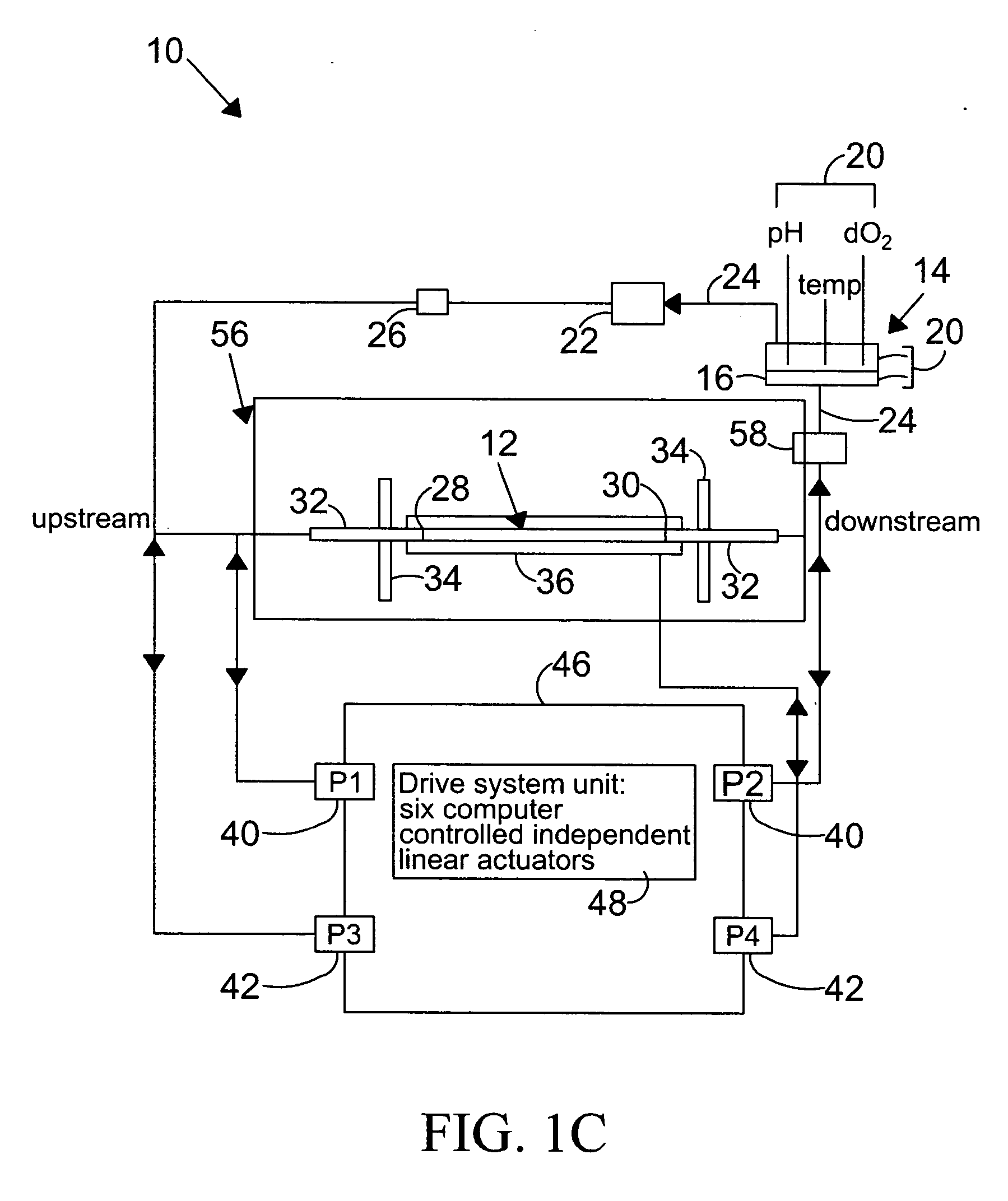 System and method to simulate hemodynamics