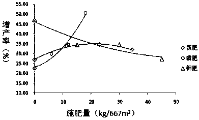 A kind of cultivation method of Prunus diangi under coniferous forest in purple soil