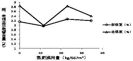 A kind of cultivation method of Prunus diangi under coniferous forest in purple soil