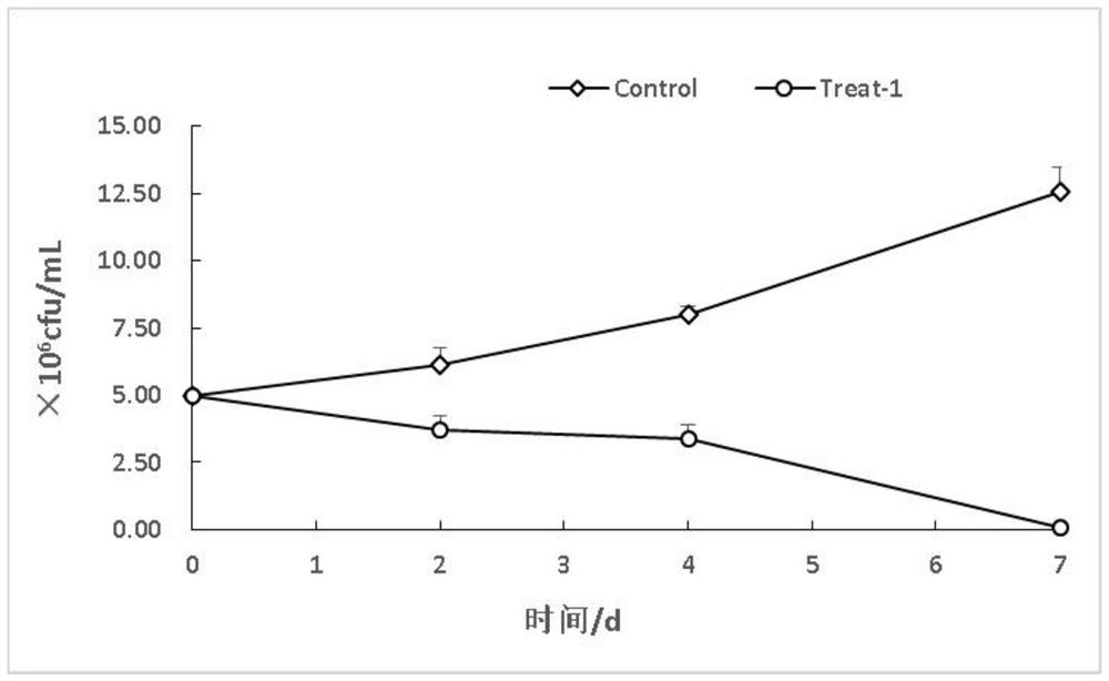 A compound Chinese herbal medicine preparation for inhibiting the growth of cyanobacteria and its preparation method