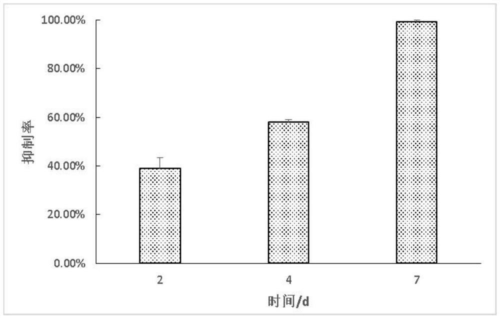 A compound Chinese herbal medicine preparation for inhibiting the growth of cyanobacteria and its preparation method