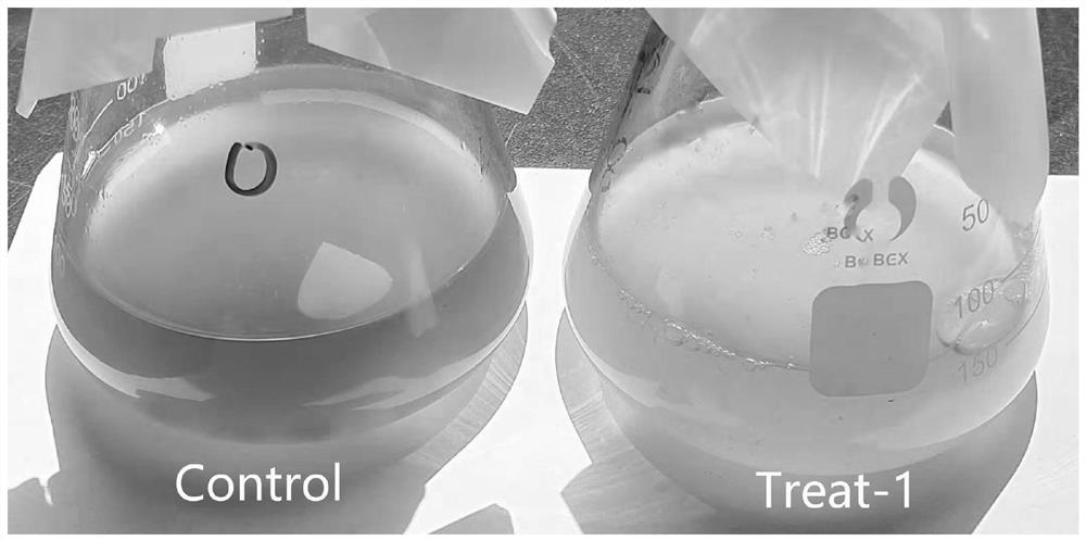 A compound Chinese herbal medicine preparation for inhibiting the growth of cyanobacteria and its preparation method