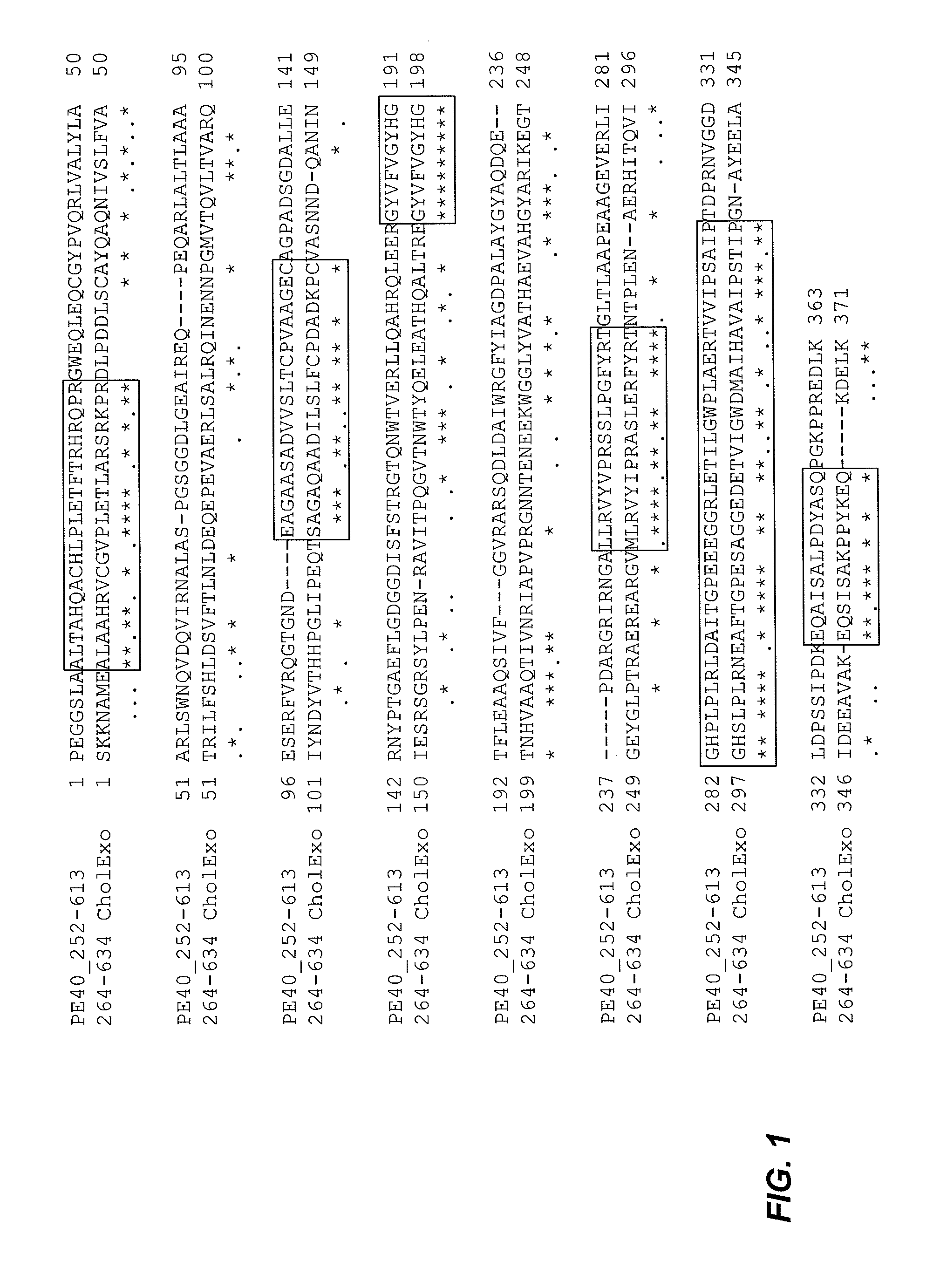 Immunotoxins and uses thereof