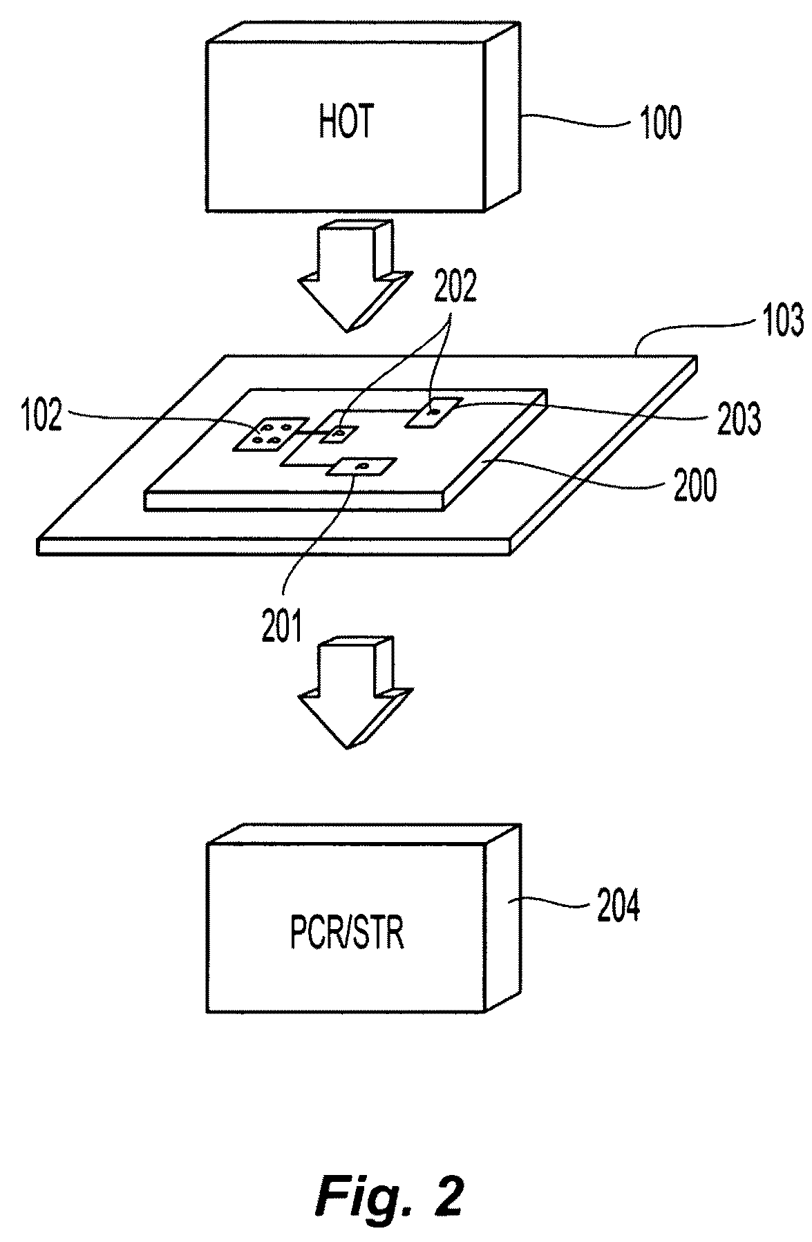 Methods and apparatuses for sorting objects in forensic DNA analysis and medical diagnostics