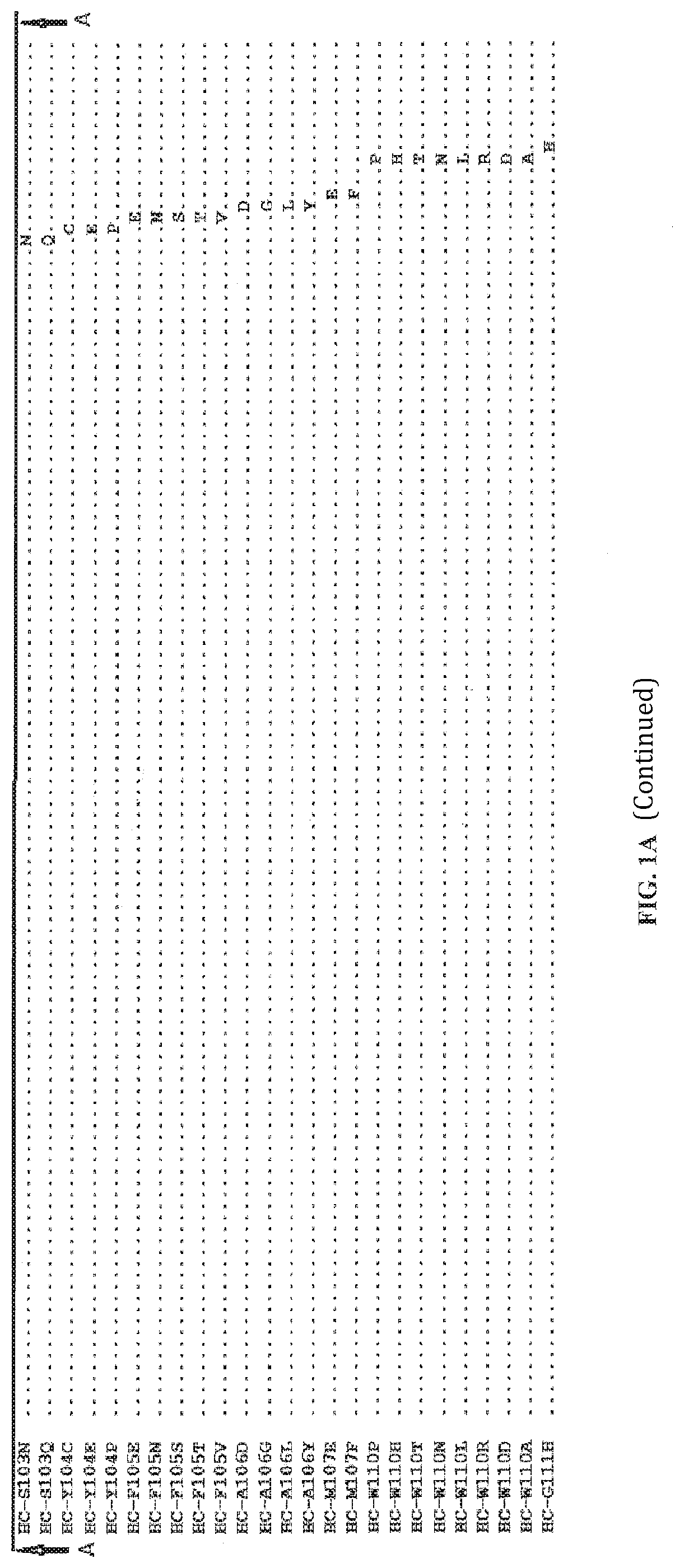 Anti-Axl antibodies, antibody fragments and their immunoconjugates and uses thereof