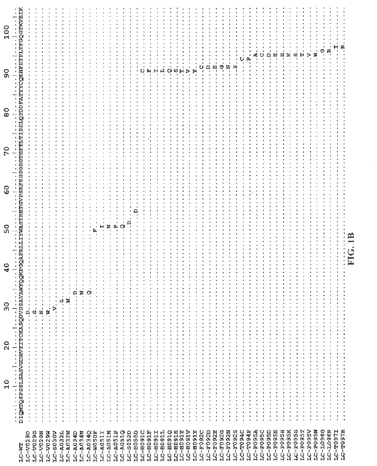 Anti-Axl antibodies, antibody fragments and their immunoconjugates and uses thereof