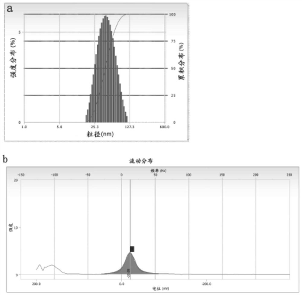 Desonide nano-emulsion gel composition and preparation method thereof