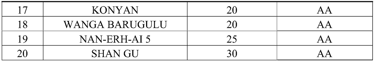 SNP (single nucleotide polymorphism) molecular markers related to hypoxia tolerance of rice and application of SNP molecular markers