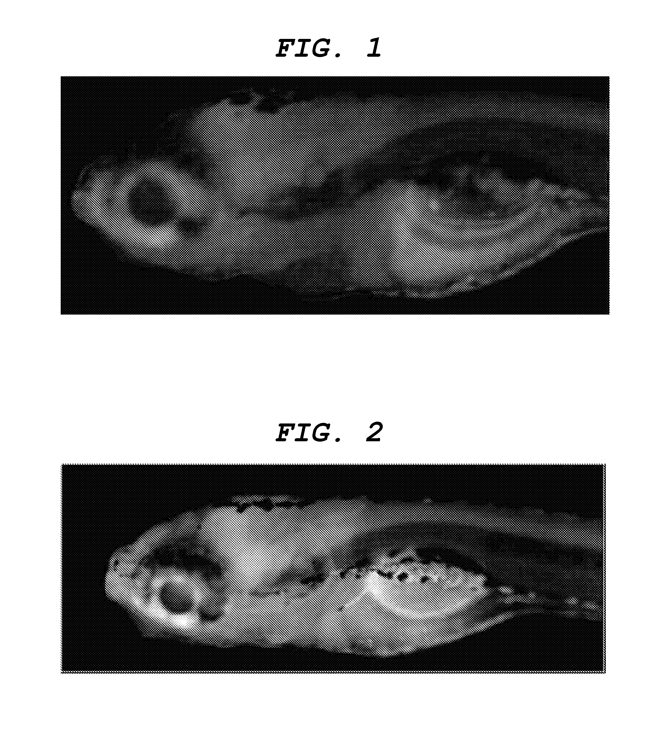 Central nervous system tissue-labeling composition, method for labeling central nervous system tissue, and screening method using central nervous system tissue-labeling composition