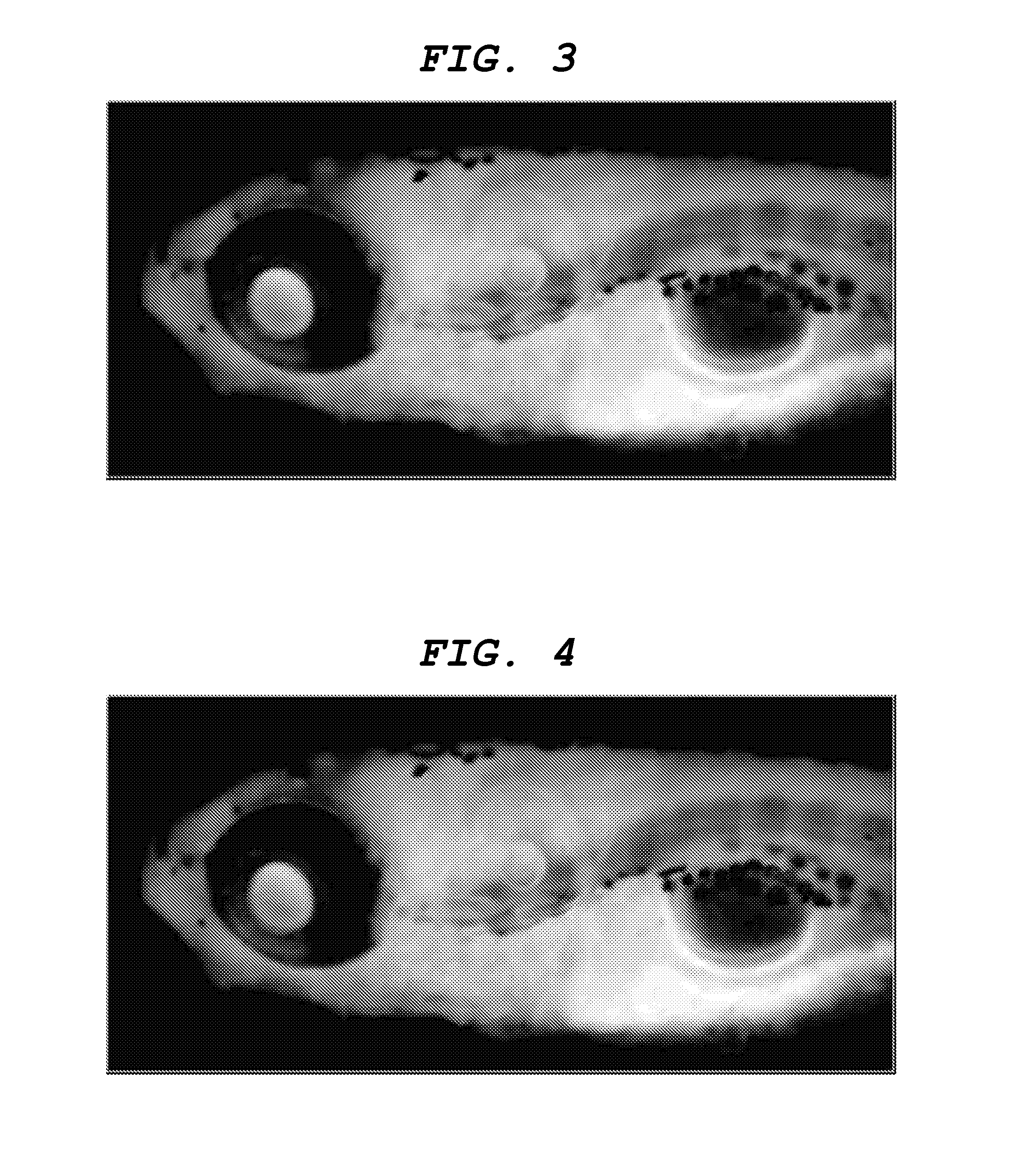 Central nervous system tissue-labeling composition, method for labeling central nervous system tissue, and screening method using central nervous system tissue-labeling composition