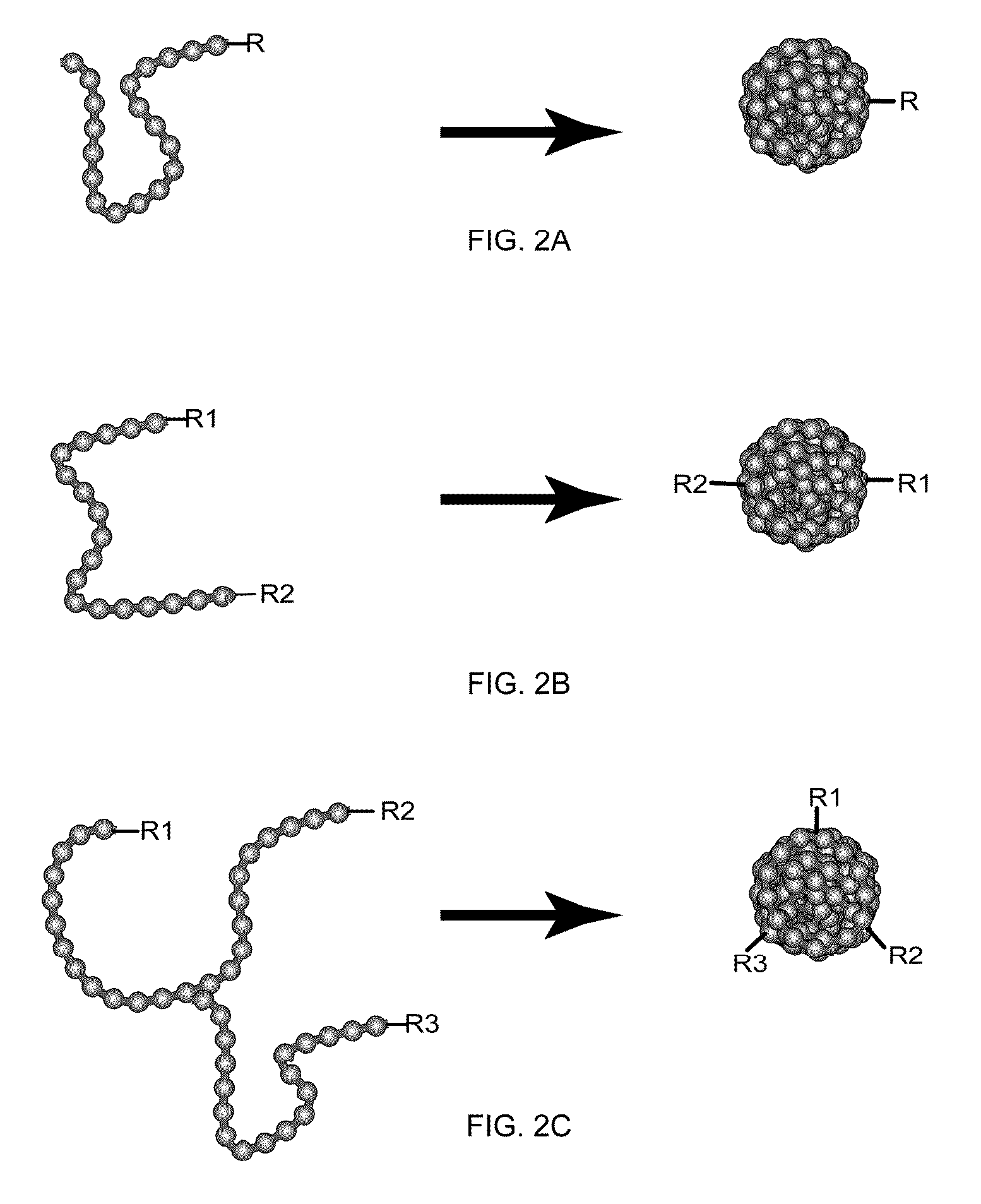 Chromophoric polymer dots