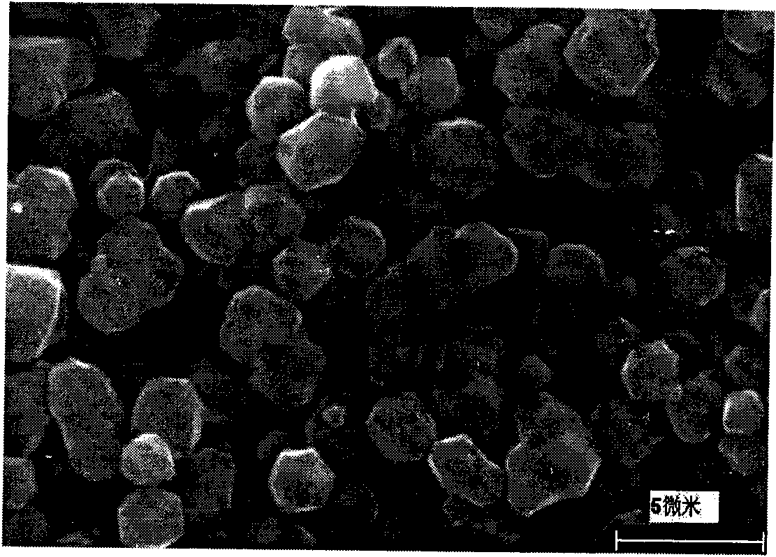 Nano conductive adhesive and preparation method thereof