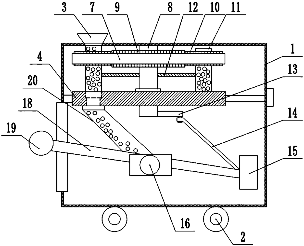 Cultivation method of radix scrophulariae