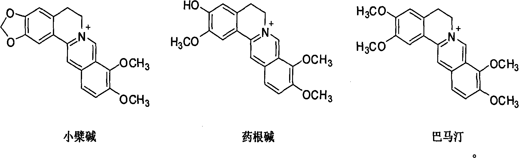 Application of berberine and derivatives thereof in preparation of indole amine 2, 3-dioxygenase inhibitor