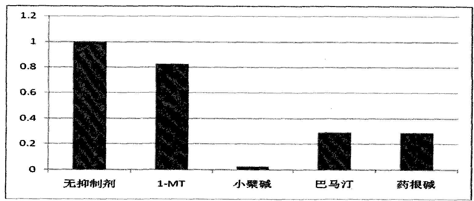 Application of berberine and derivatives thereof in preparation of indole amine 2, 3-dioxygenase inhibitor