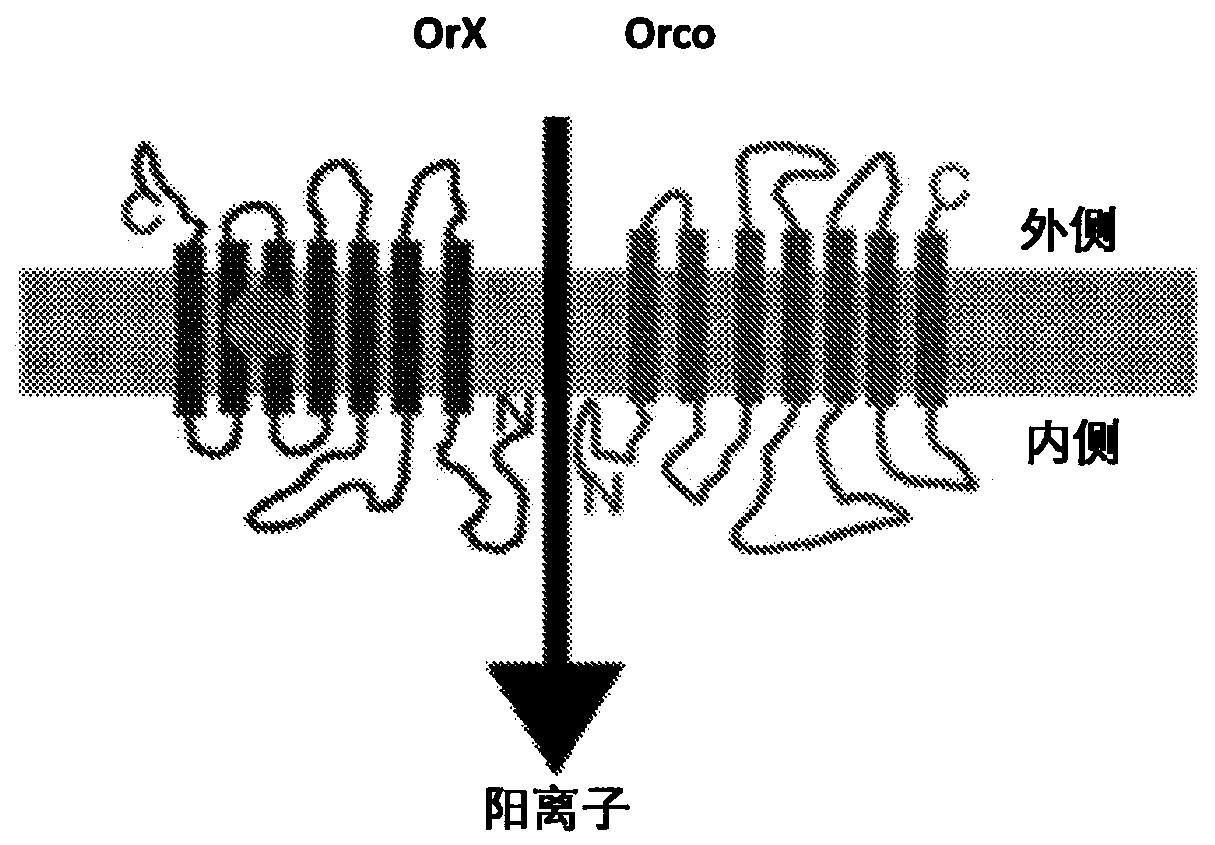 Sensor device and methods