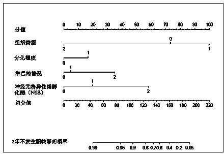 Non-small cell lung cancer brain metastases prediction device