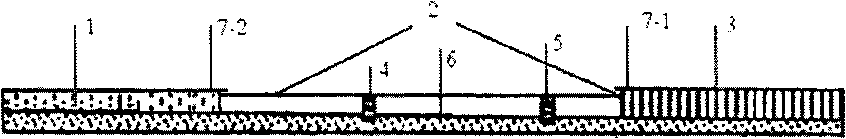 Kit and method for detecting beta-lactamase