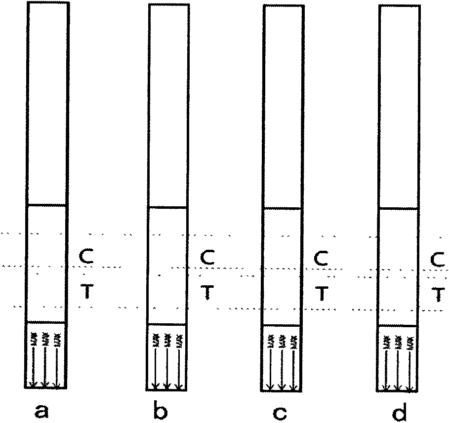 Kit and method for detecting beta-lactamase