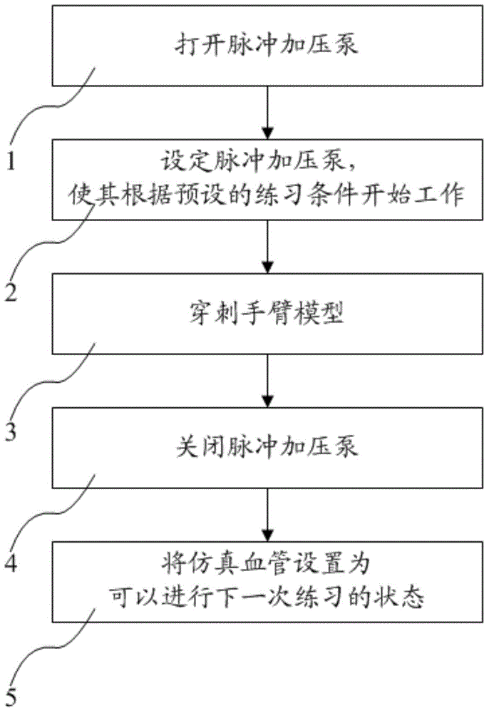 Radial artery puncture practice model and method