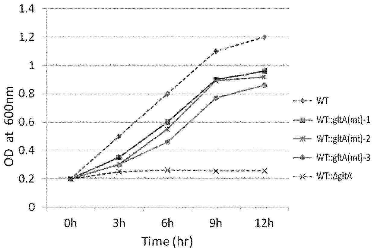 Modified polypeptide with attenuated activity of citrate synthase and method for producing L-amino acid using the same