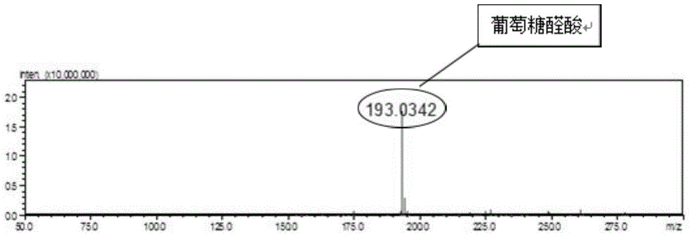 Biosynthesis method of glucuronic acid and glucuric acid