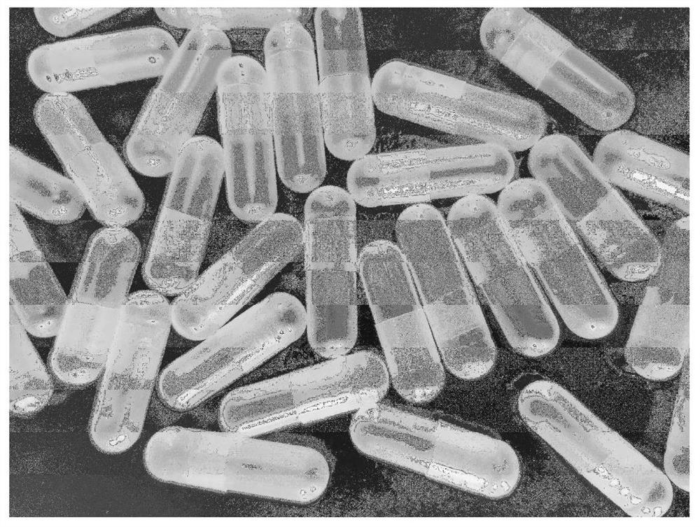 A kind of enteric-coated hollow cellulose capsule and preparation method thereof