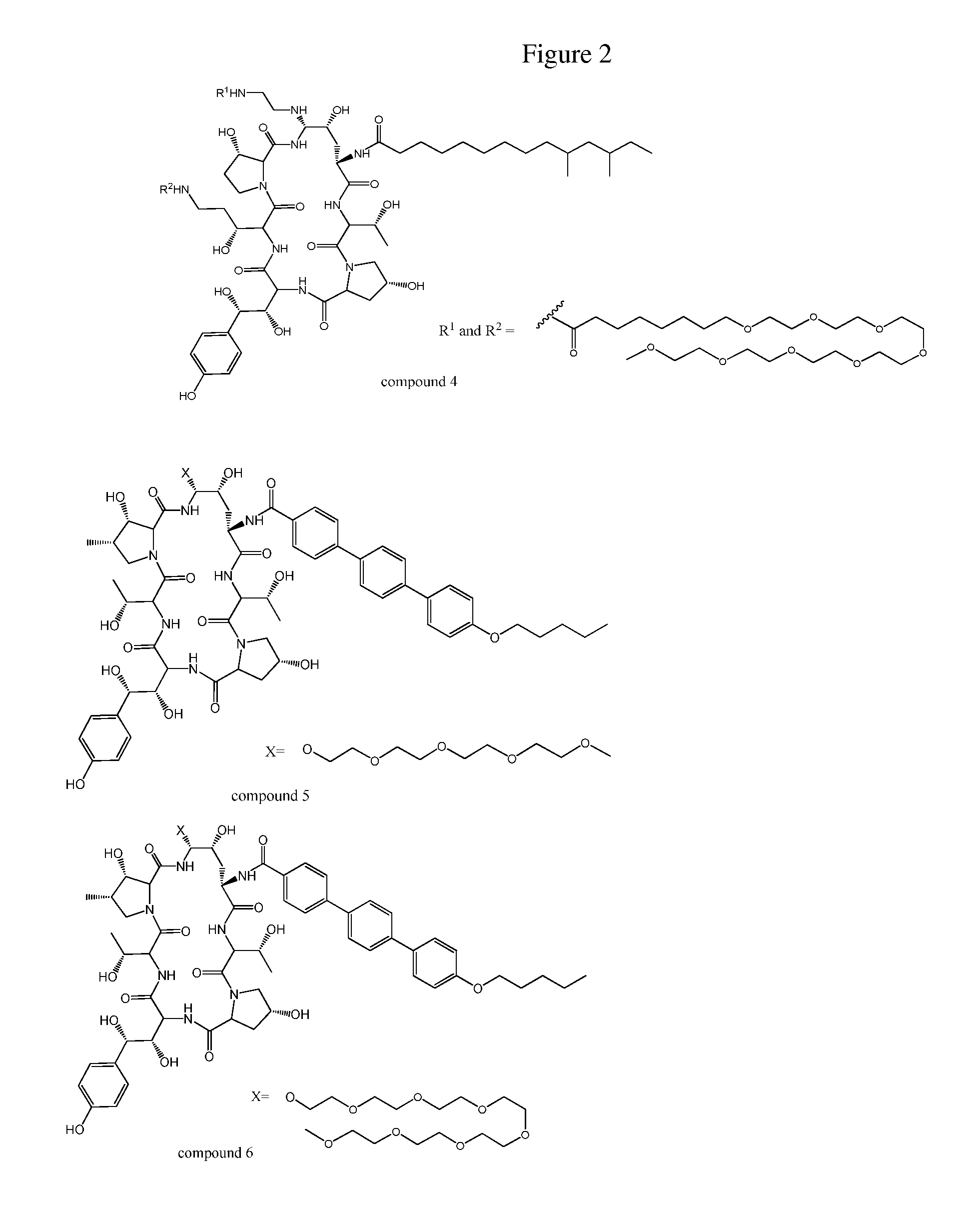 Dosing regimens for echinocandin class compounds