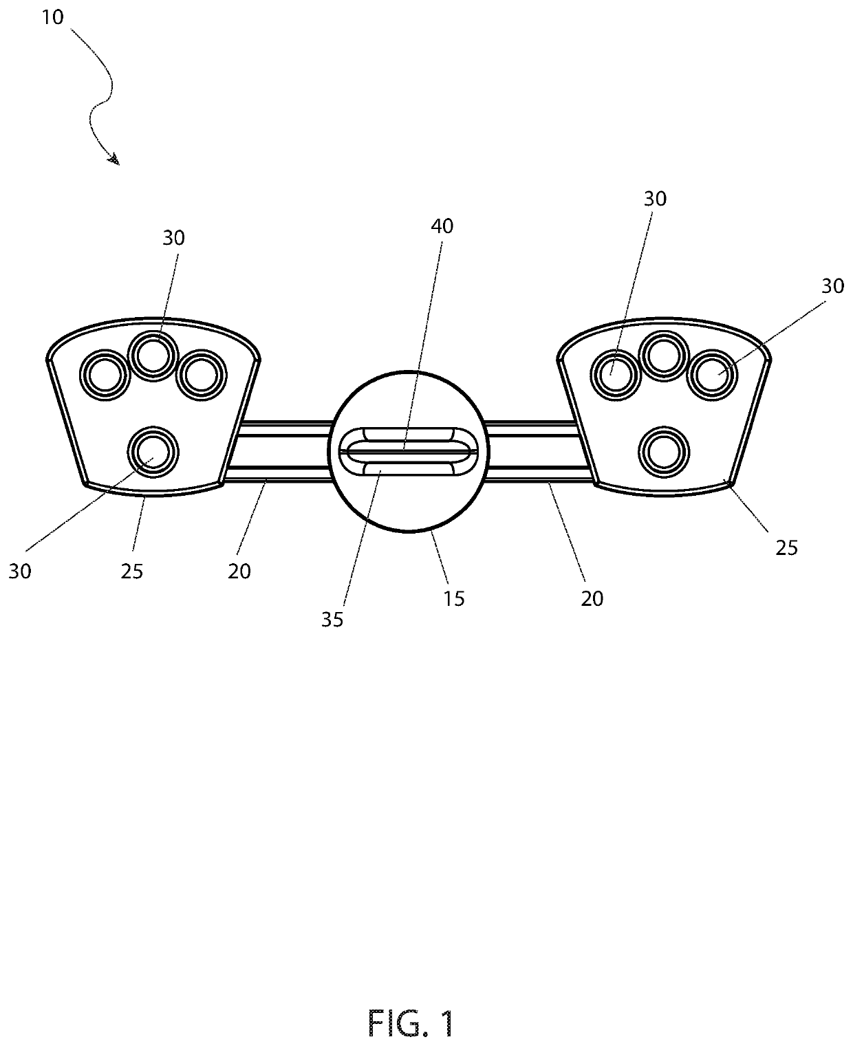 Bone holding device for an animal