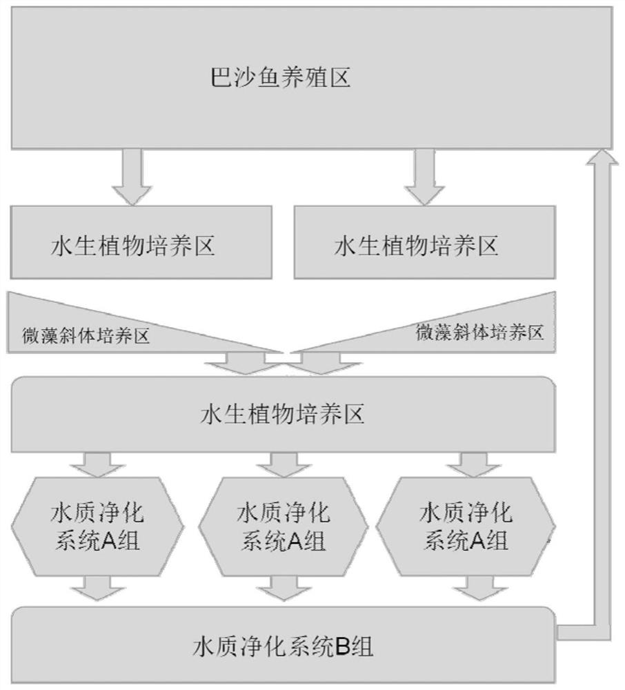 Planting and breeding combined Basa fish ecological circulating water cultivation system and using method thereof