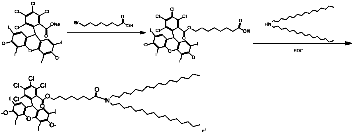 Microbubble preparation for ultrasonic diagnosis and SDT (sonodynamic therapy) and preparation method of microbubble preparation