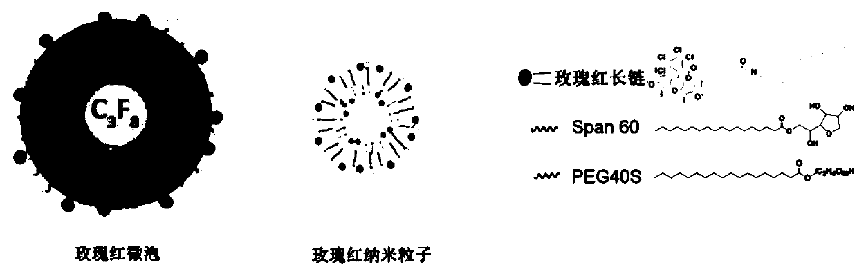 Microbubble preparation for ultrasonic diagnosis and SDT (sonodynamic therapy) and preparation method of microbubble preparation