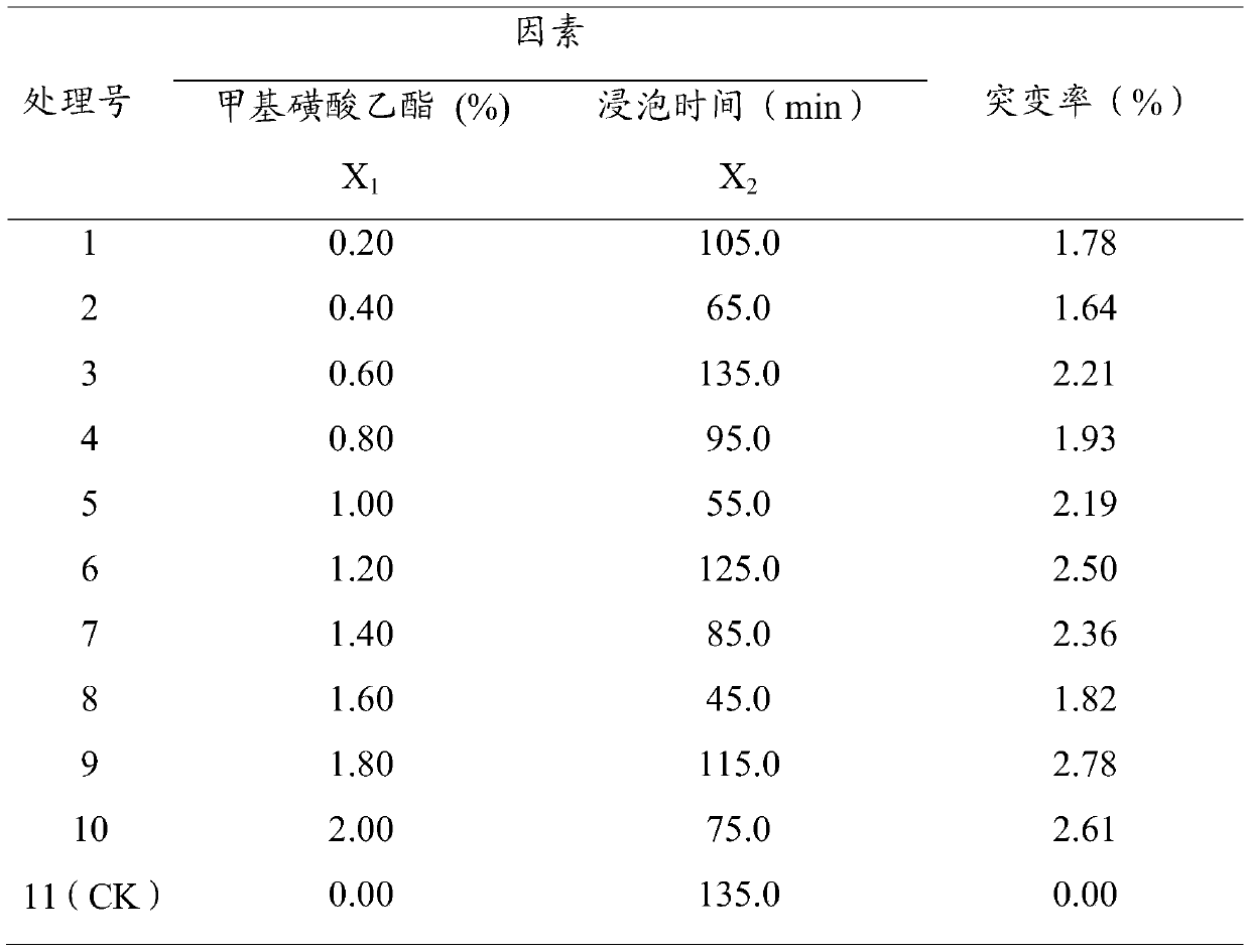 Novel variety cultivation method for inducing petal mutation of physalis alkekengi l