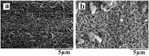 Preparation method of magnesium/magnesium alloy hydrotalcite-aluminum oxide composite coating