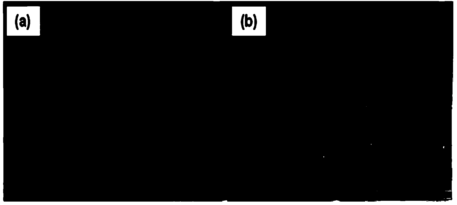 Preparation method of functional hollow polymer microspheres