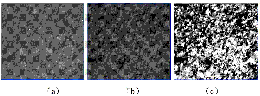 Porosity detection method for soil