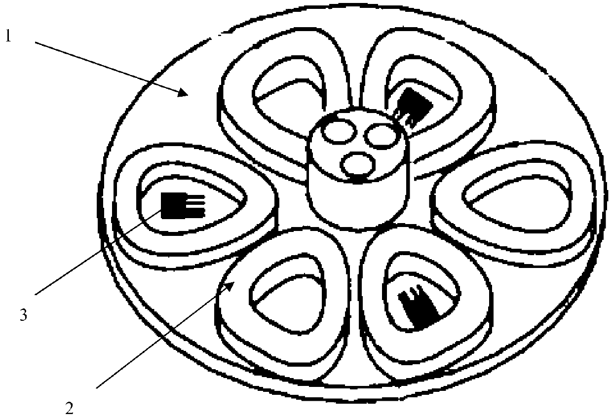 Disc type iron-core-free permanent magnet direct current (PMDC) motor