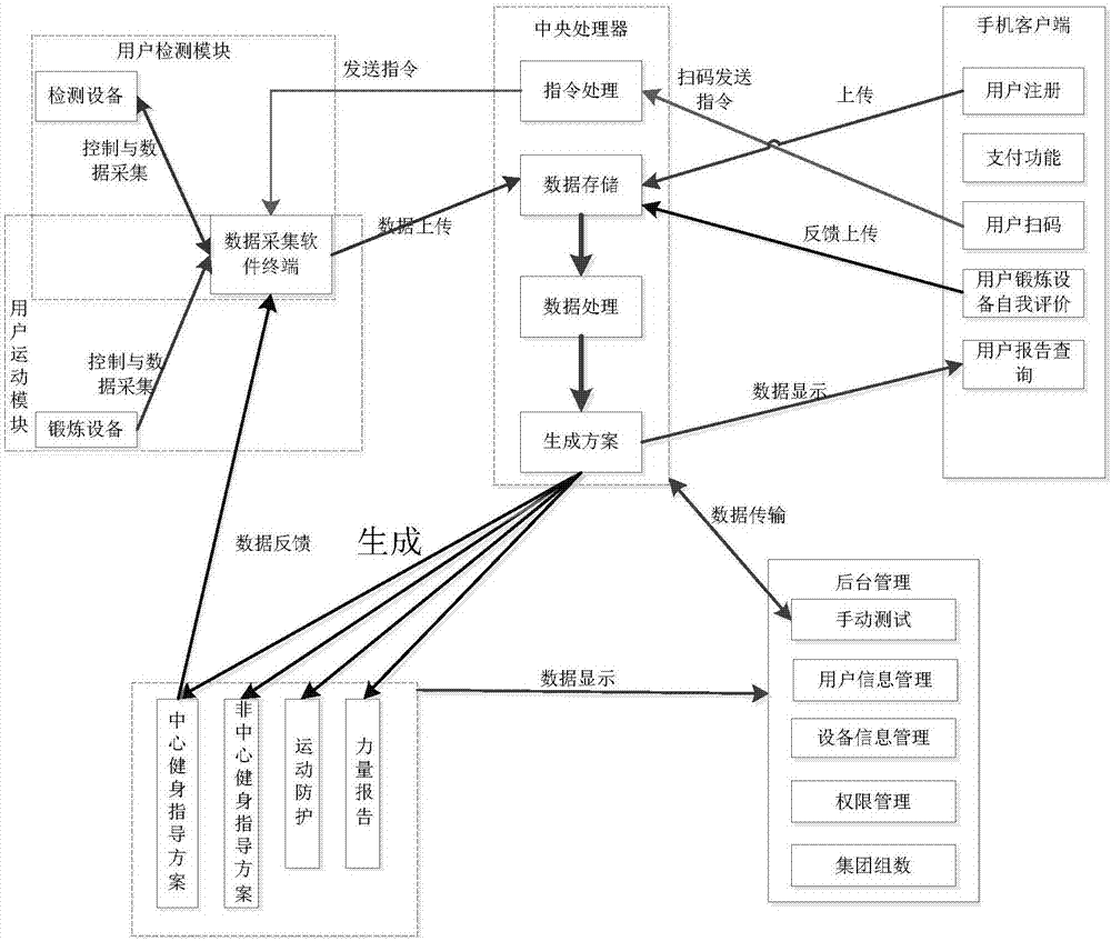 Physical fitness body-building evaluation system