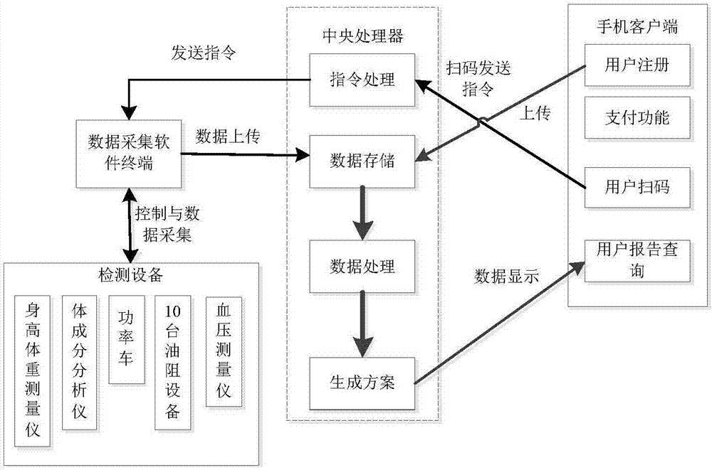 Physical fitness body-building evaluation system