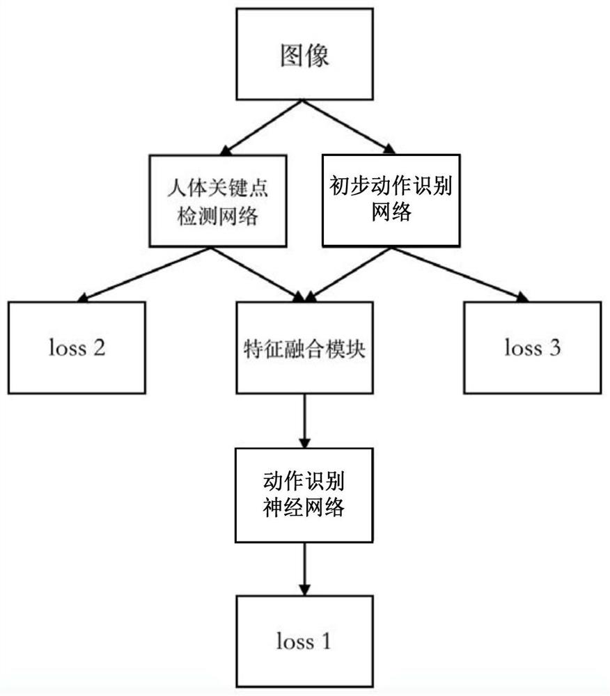 Human action recognition and its neural network generation method, device and electronic equipment