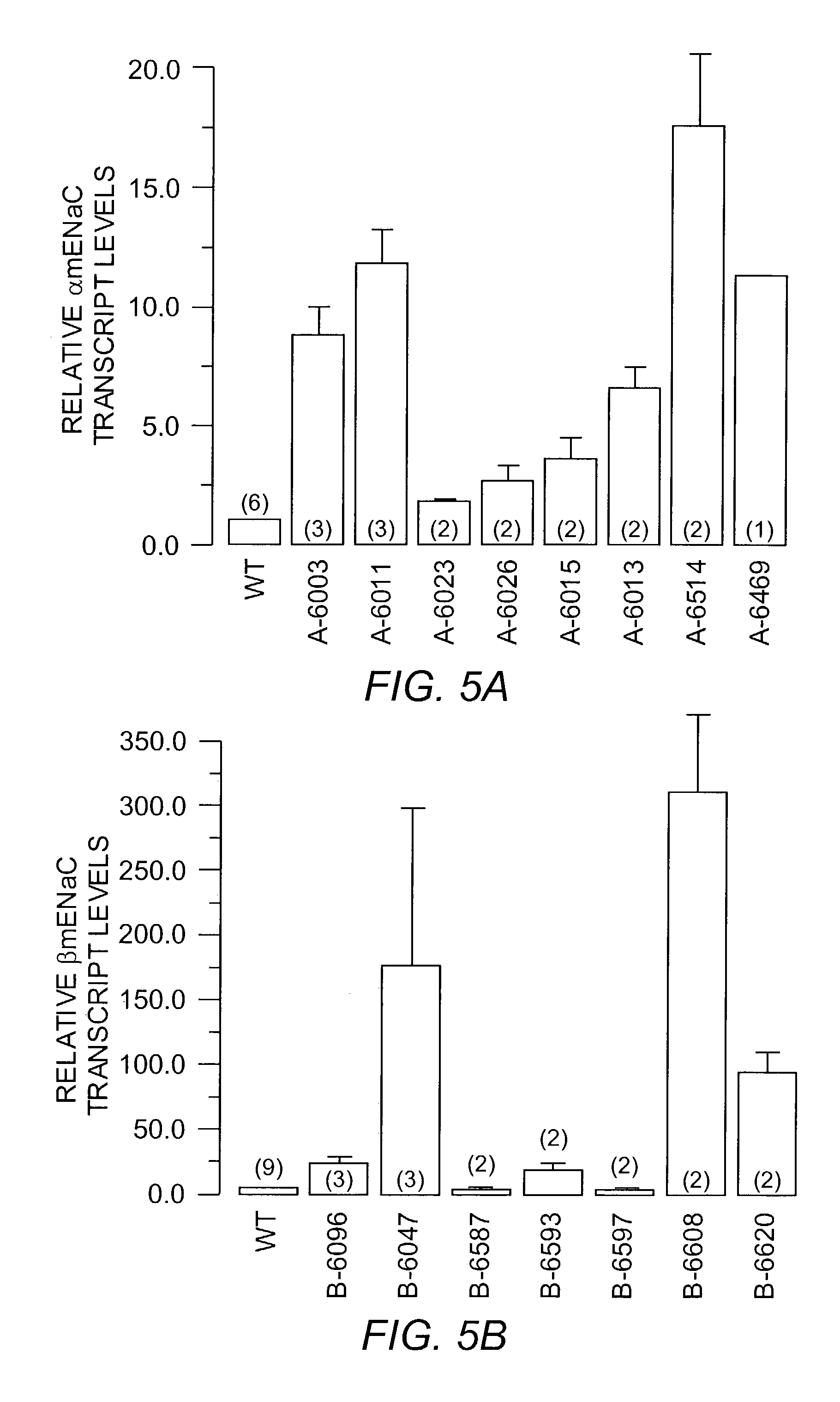 Animal model for chronic obstructive pulmonary disease and cystic fibrosis