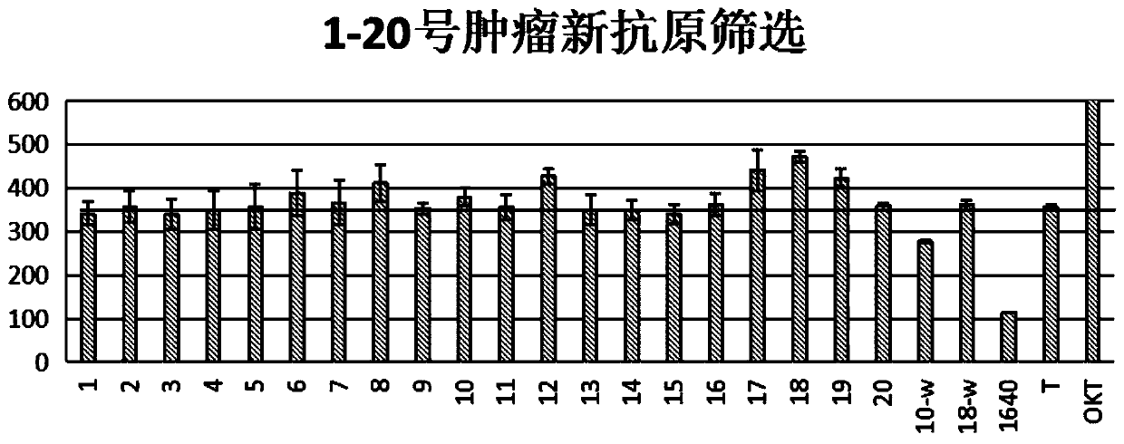 Lung cancer antigen combination and application thereof, and cytotoxic T lymphocytes