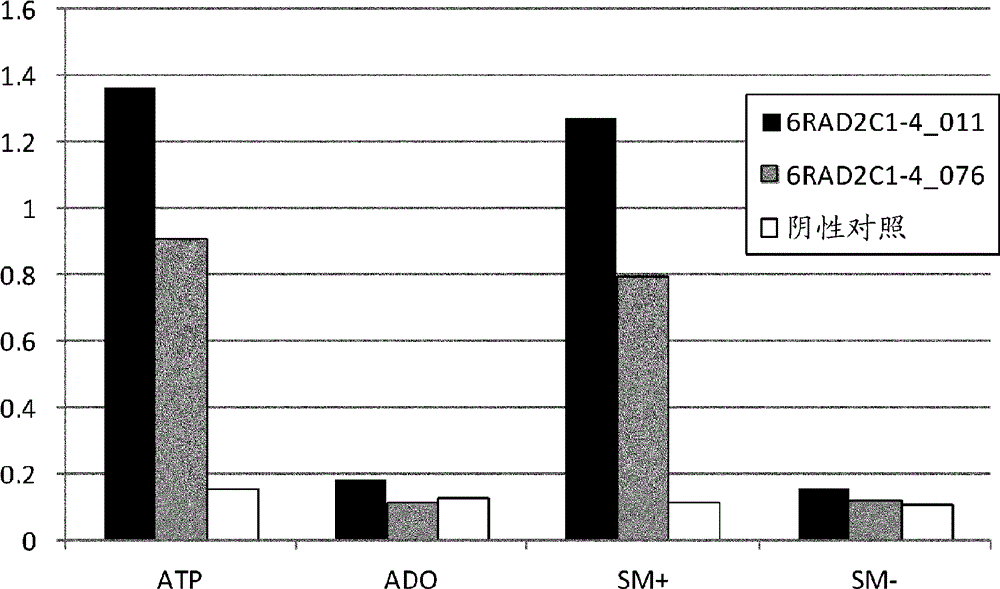 Target-tissue-specific antigen-binding molecule